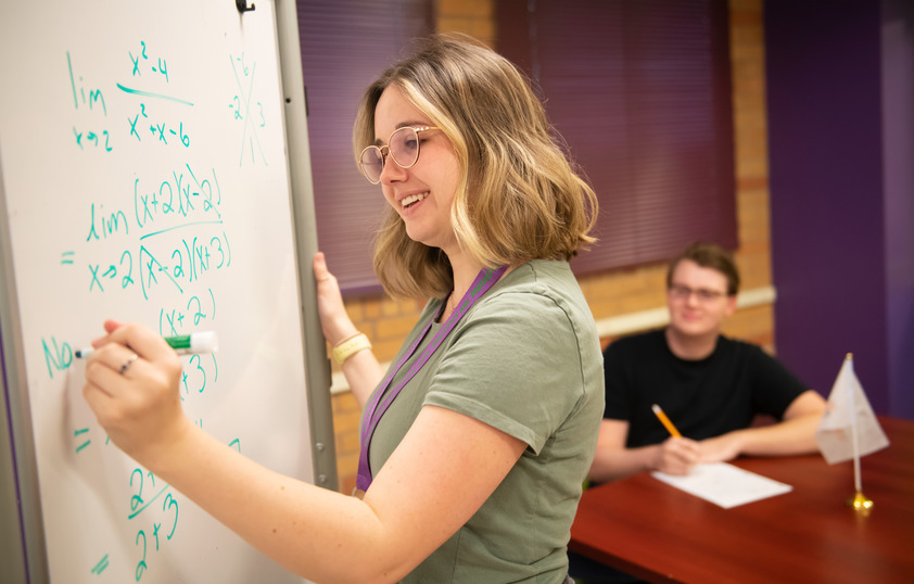 Students working on mathematics equations