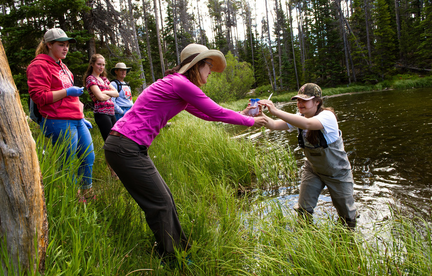 Students working a pond collecting samples