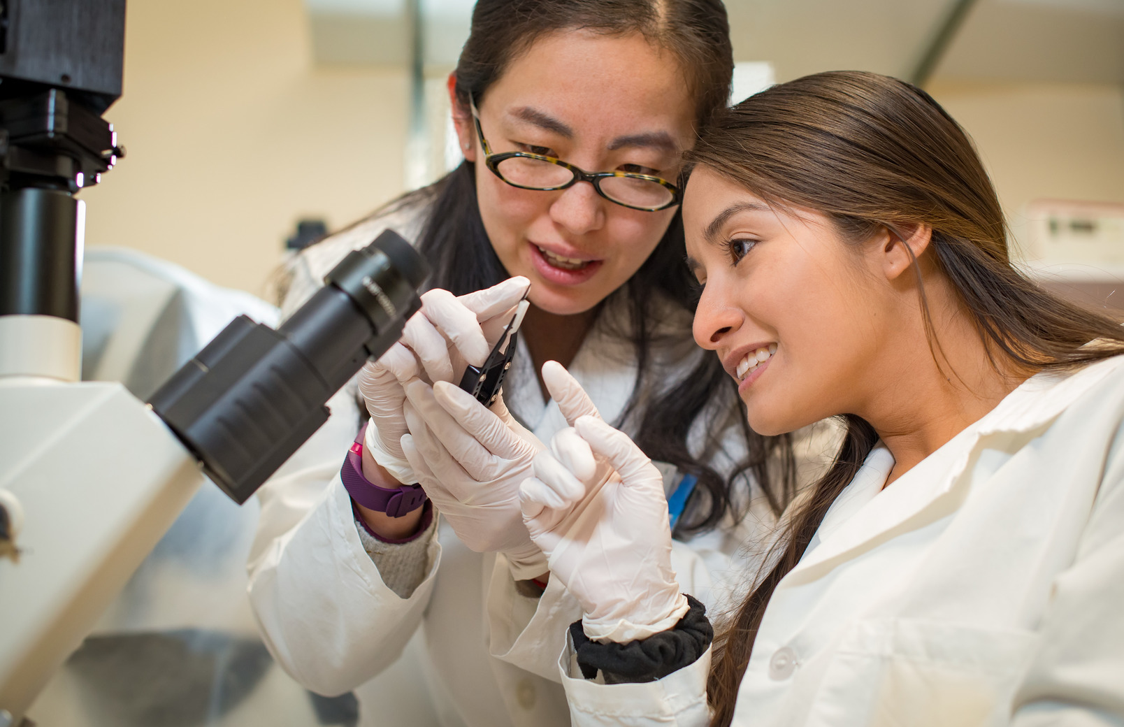 Students looking at a microscope