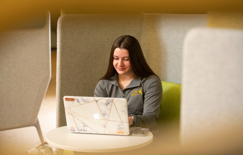 Student working on laptop