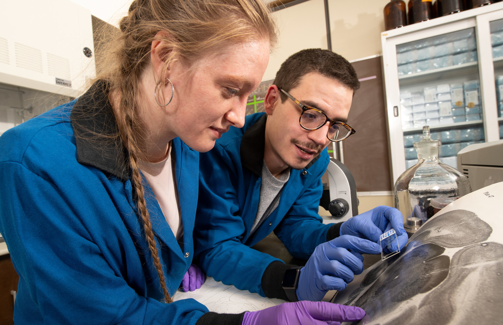 Students in lab