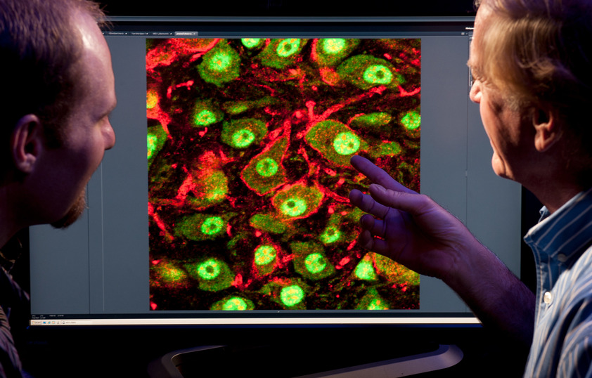 Two people inspect a screen with a colorful display