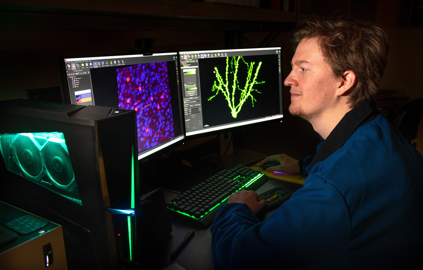 Student looking at computer screens with cells on them