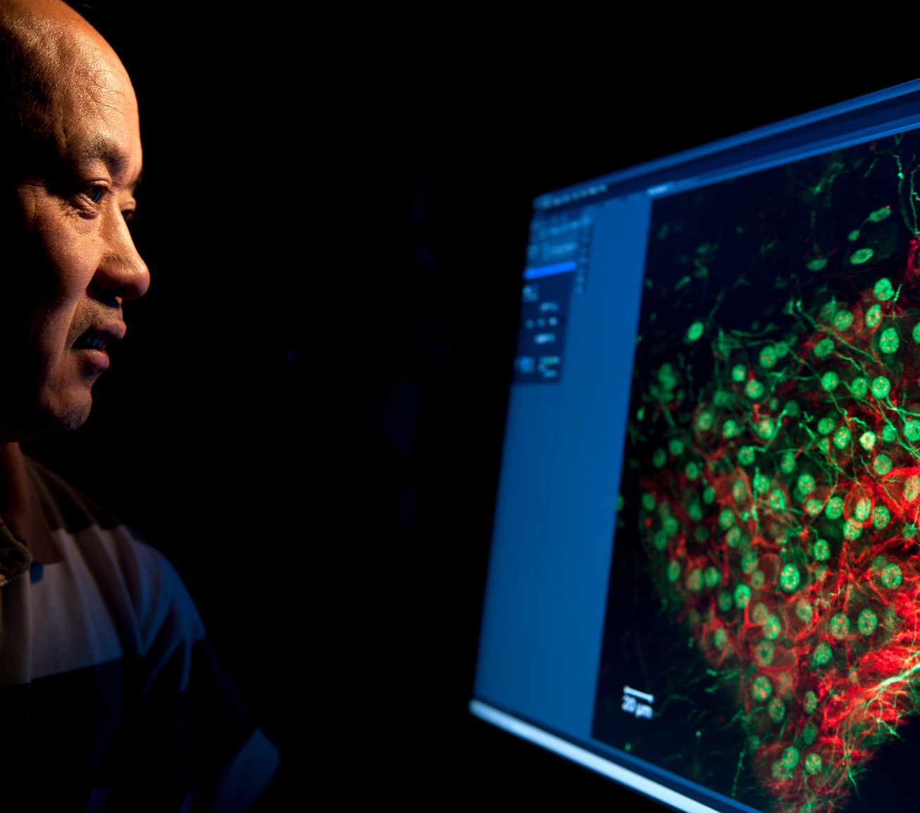 Faculty member looking at computer with cells