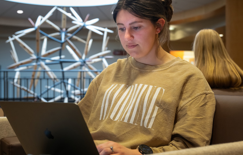 Student working on laptop