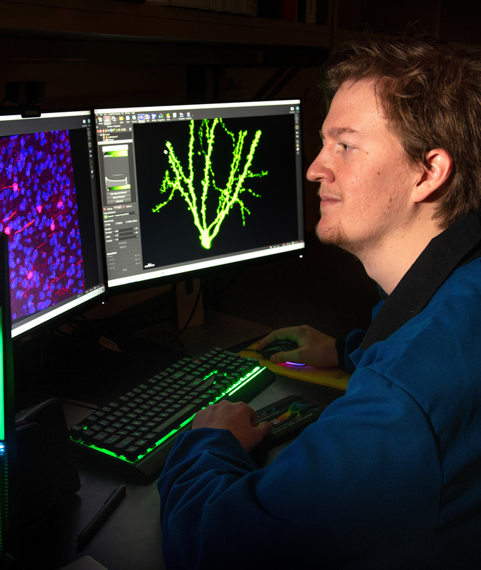 Neuroscience student looks at a computer screen
