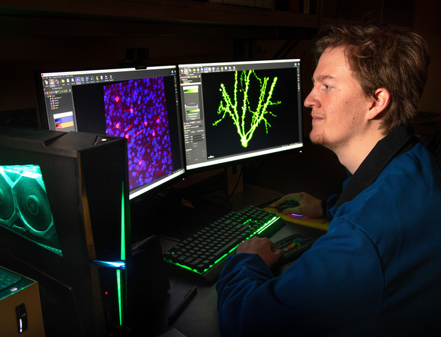 Neuroscience student looks at a computer screen