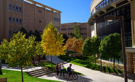 Outside the College of Health Sciences