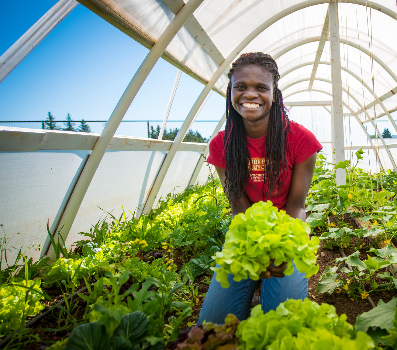 Student in greenhouse