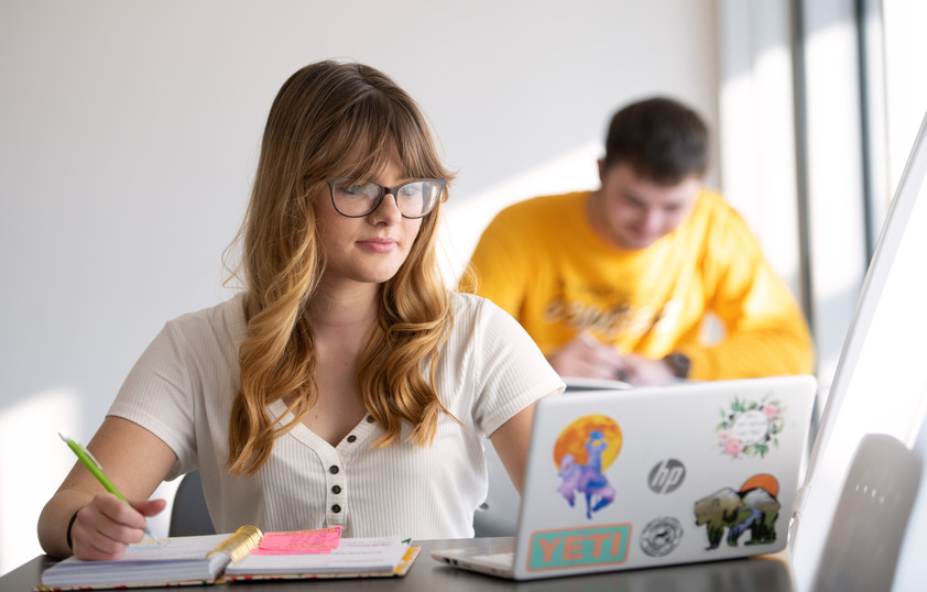 Student working on laptop