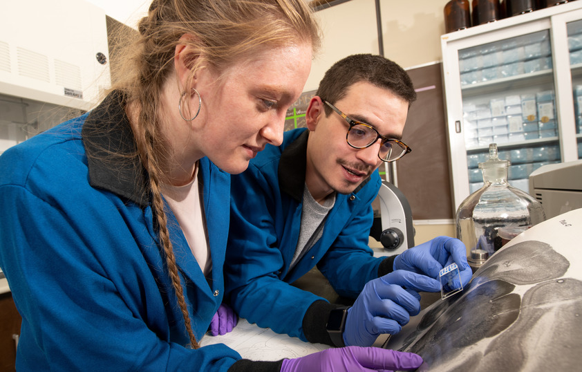 Two students examining x-ray and petri dish in lab