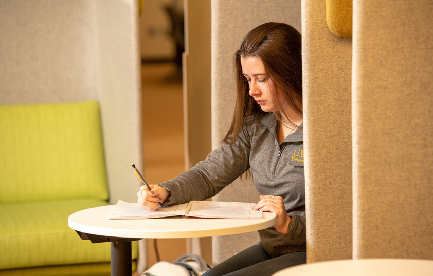 Student studying in library