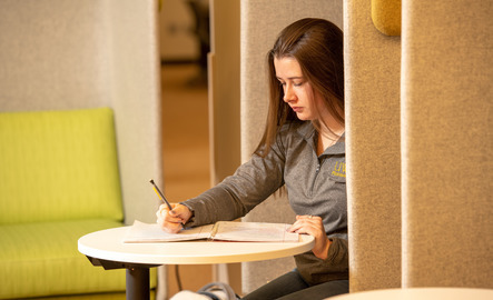 Student working on coursework
