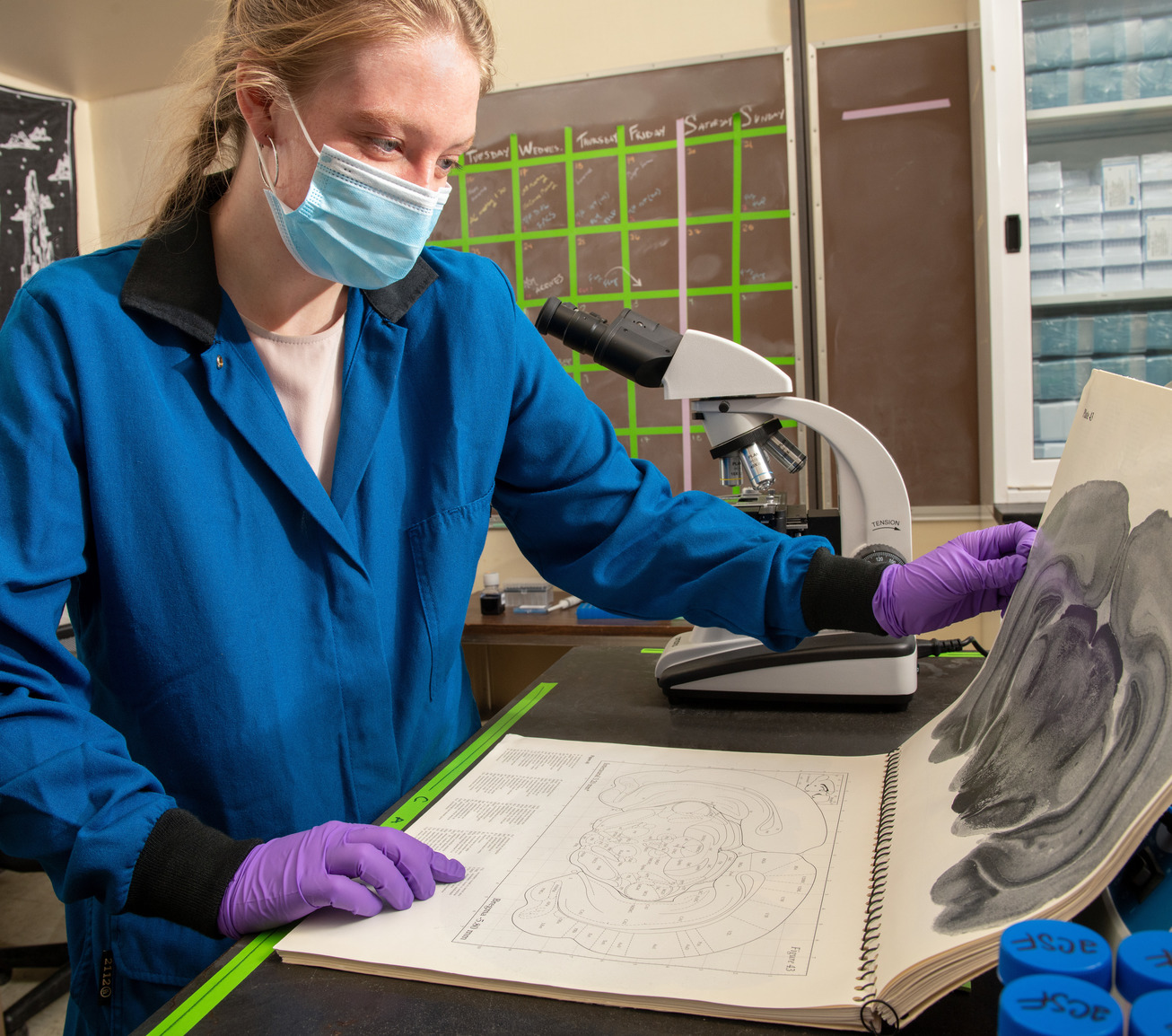 Student in a science lab looking at a printed document showing a rat brain atlas