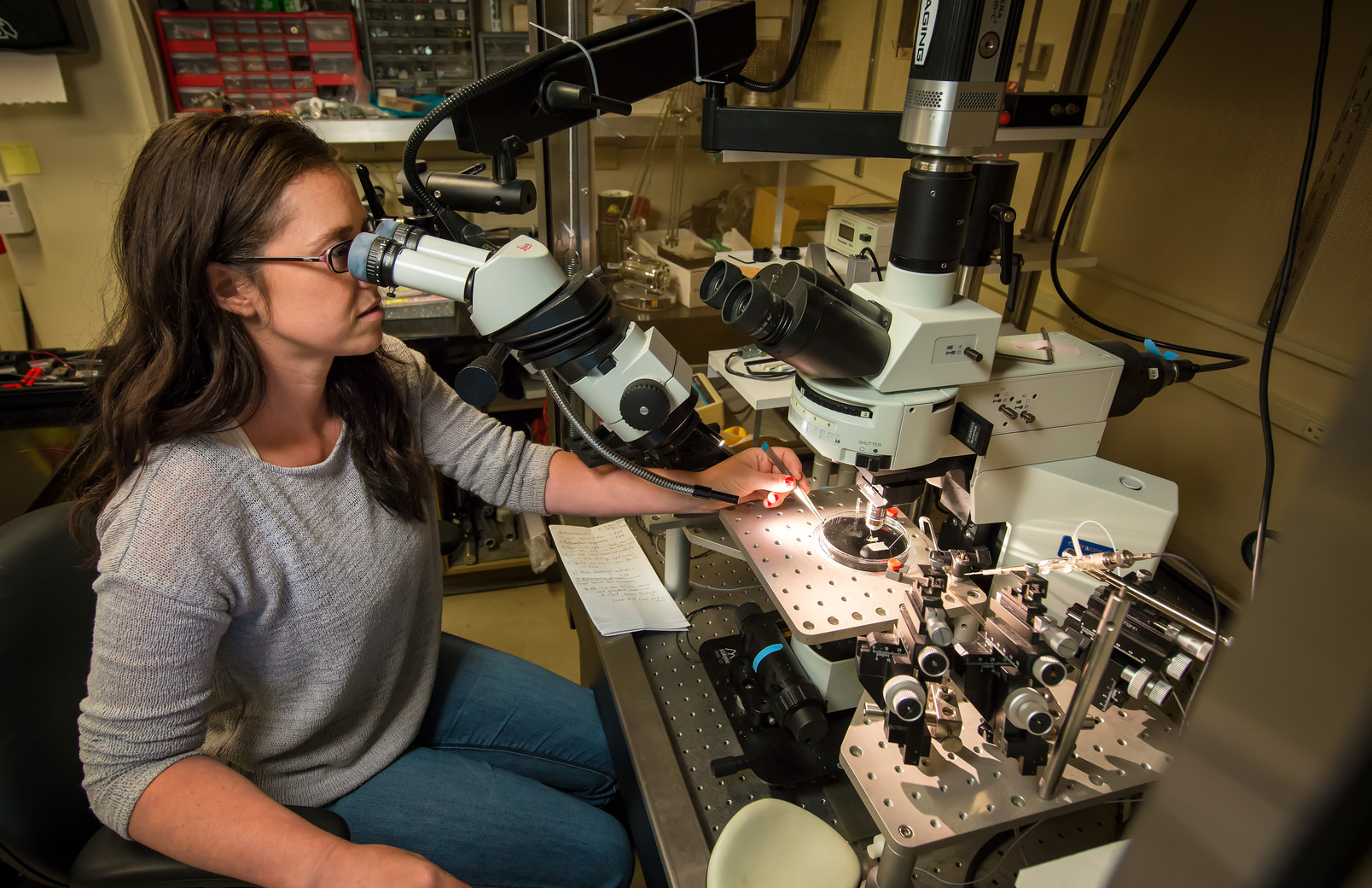 Researcher in a lab looking through a microscope