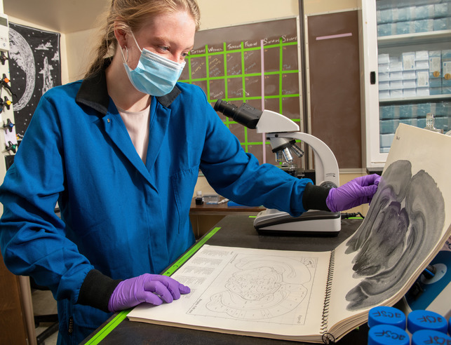 Student in a science lab looking at a printed document showing a rat brain atlas