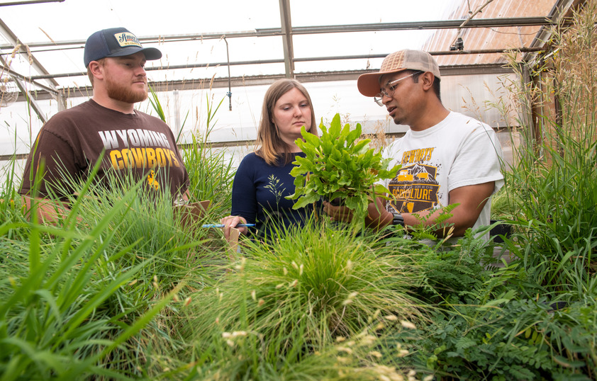 Students in greenhouse