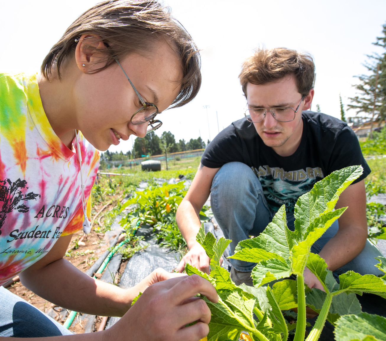 Two students in the field