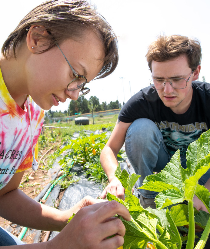 Two students tend to plants