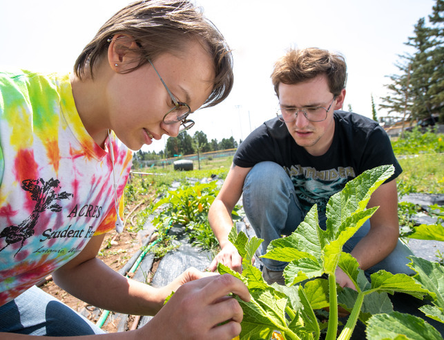 Two students tend to plants