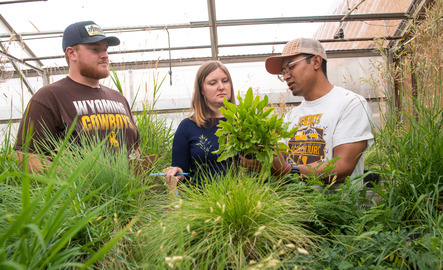 Three students look at plants