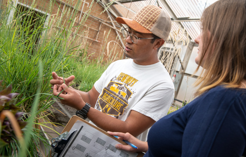 Two students examine plants