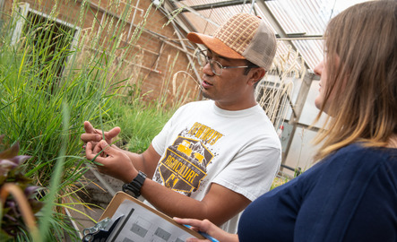 Two students look at a plant in UW's greenhouse