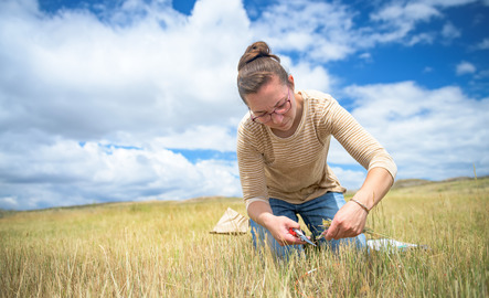 Student clips grass in a field