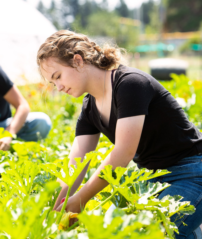 Student tends to plants