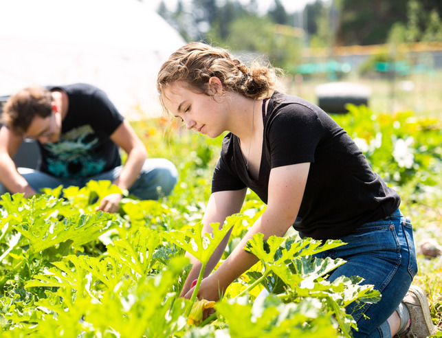 Student tends to plants
