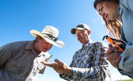 Professor holds plant sample in their hand and shows two students