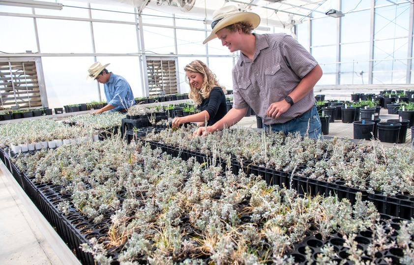 Students in greenhouse