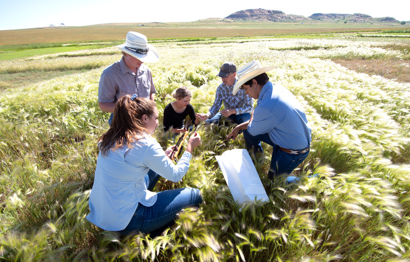 Class in the field