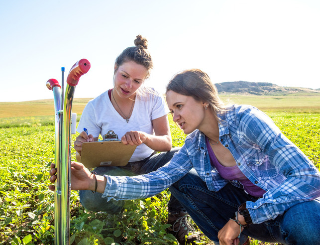 Two students in the field