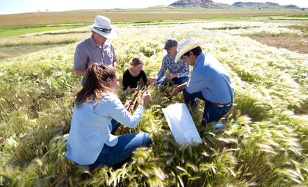 Group of students in the field