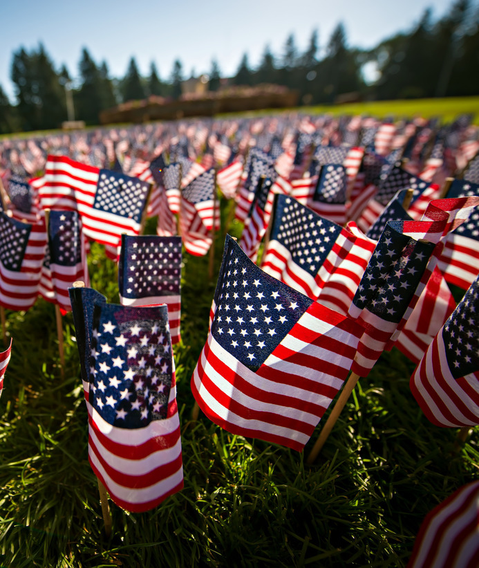 Field of American flags