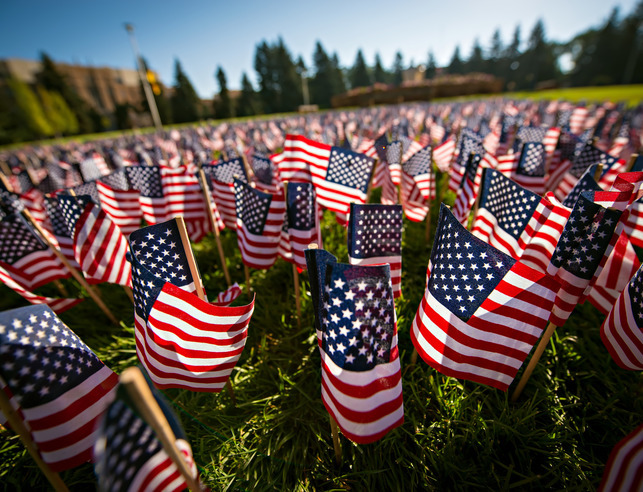 Field of American flags