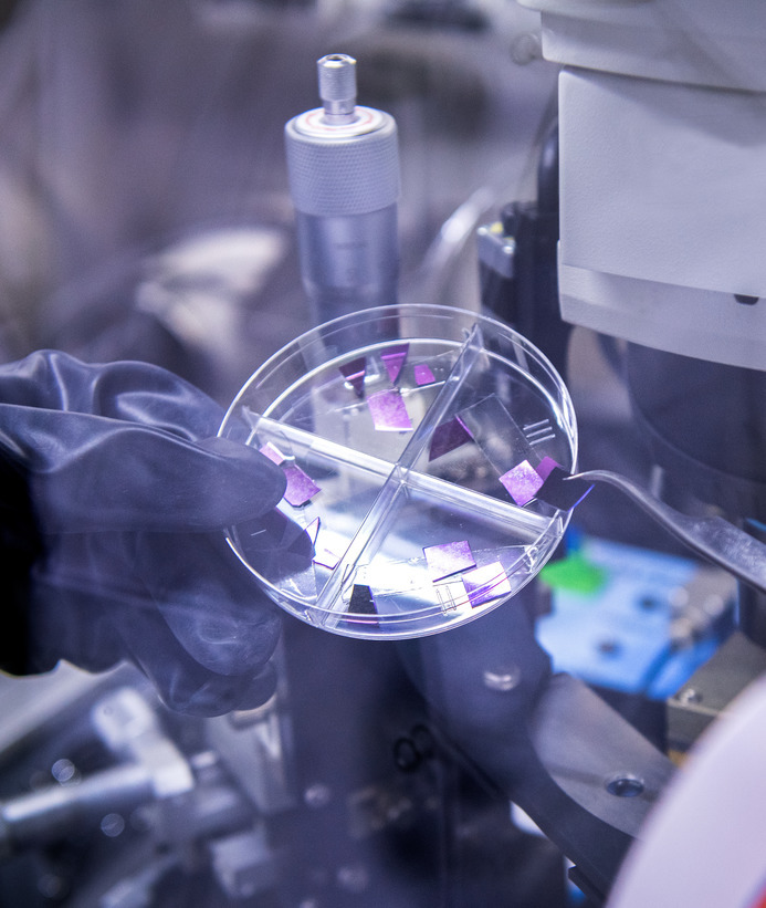 Student picks up quantum materials with forceps