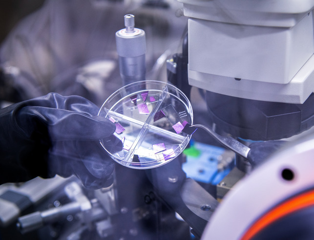 Student picks up quantum materials with forceps