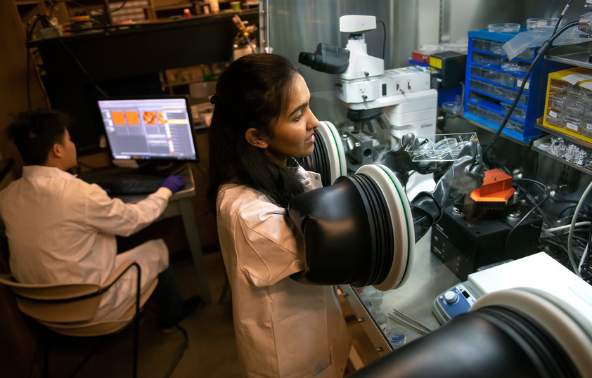 Two students in a lab