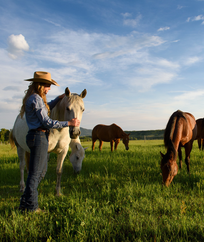Alumni with horses on their ranch