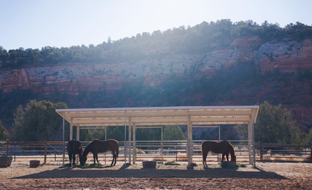 Horses eating on a ranch