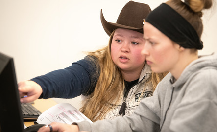 Ranch management and agricultural leadership students working on a computer