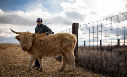 UW alumni posing with livestock on their ranch