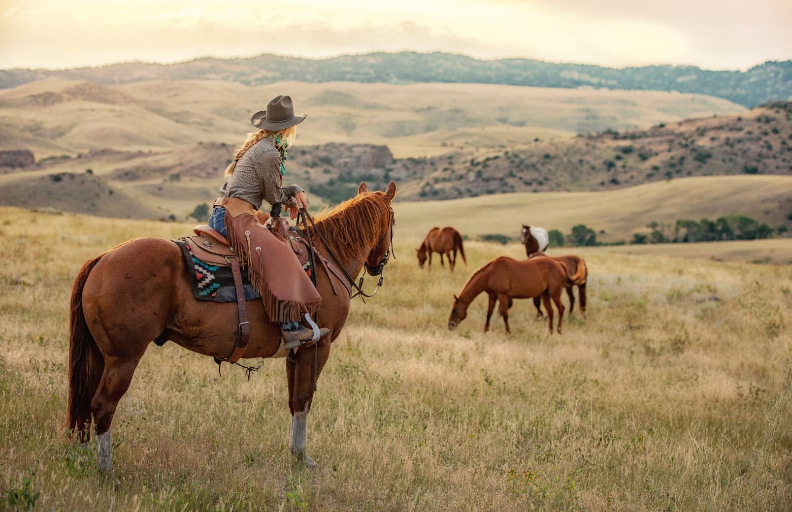 A person with 3 horses