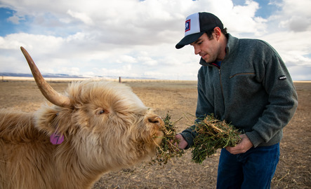 Student feeding livestock