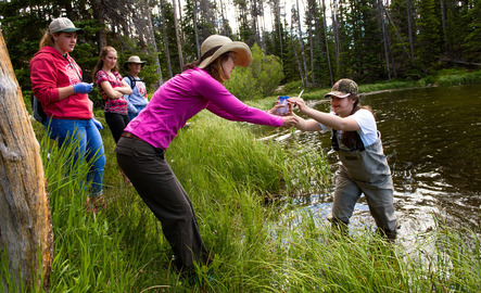 REWM students gather samples from a water source