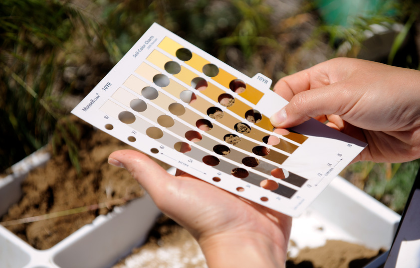 An image of someone holding a soil sample comparison chart.