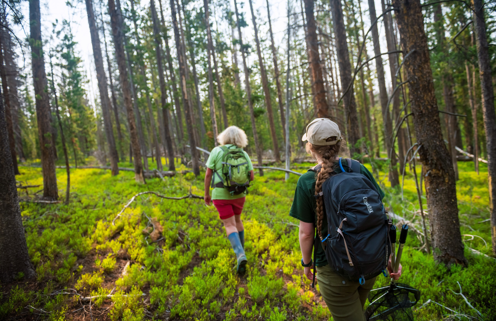 A student and faculty member walk in the forrest.