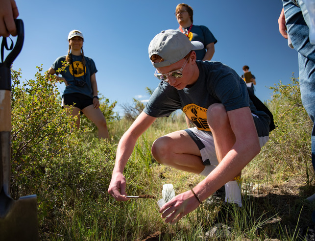 A reclamation/restoration ecology student works in the soil on a field project